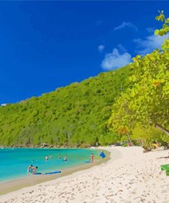 Saint Thomas Beach In Virgin Islands Diamond Painting