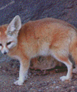 Sandfox Animal Diamond Painting