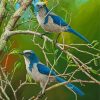 Scrub Jay Diamond Painting