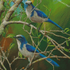 Scrub Jay Diamond Painting