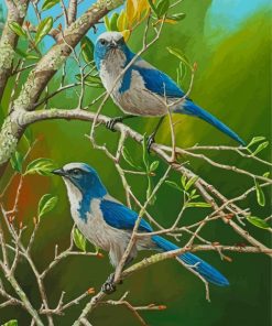 Scrub Jay Diamond Painting