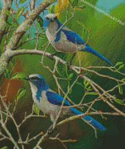 Scrub Jay Diamond Painting