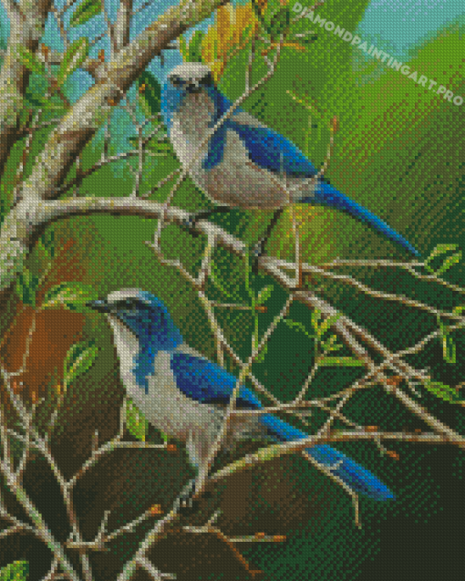 Scrub Jay Diamond Painting