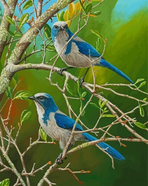 Scrub Jay Diamond Painting