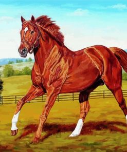 Secretariat Horse Diamond Painting