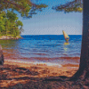 Shore Of Sebago Lake Maine Diamond Painting