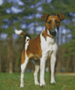 Smooth Fox Terrier Diamond Painting