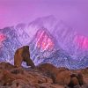 Snowy Lone Pine Peak Diamond Painting