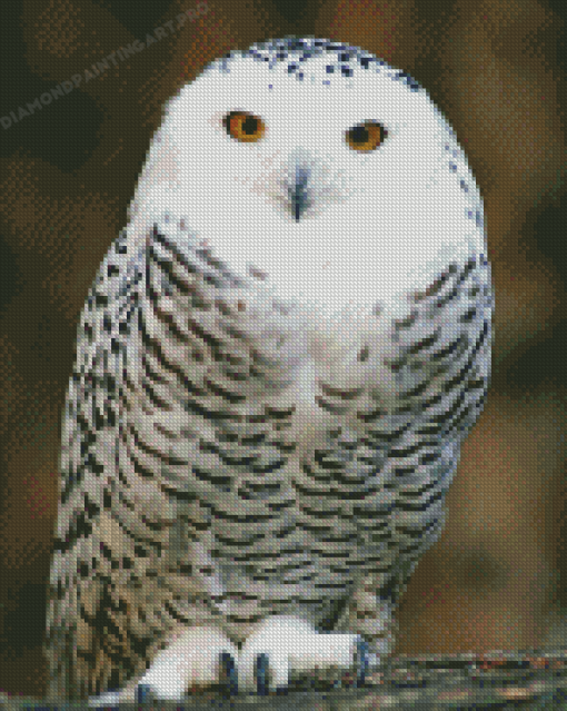 Snowy Owl Bird Diamond Painting