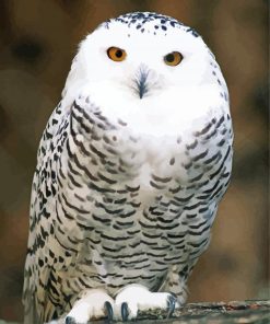 Snowy Owl Bird Diamond Painting