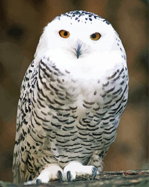 Snowy Owl Bird Diamond Painting