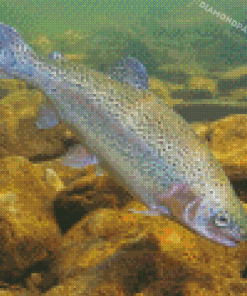 Steelhead Fish Diamond Painting