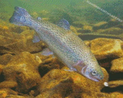 Steelhead Fish Diamond Painting