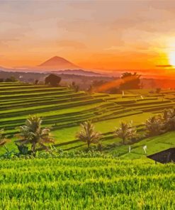 Sunset At Ubud Bali Diamond Painting