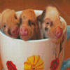 Teacup Pigs Diamond Painting