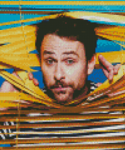 The Actor Charlie Day Diamond Painting