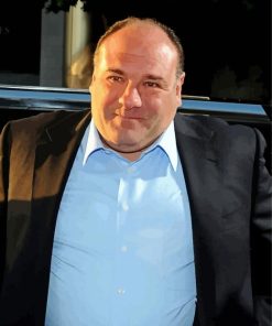 The Actor James Gandolfini Diamond Painting