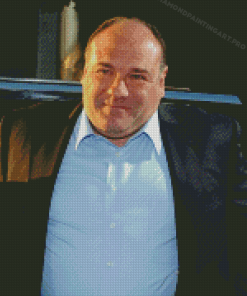 The Actor James Gandolfini Diamond Painting