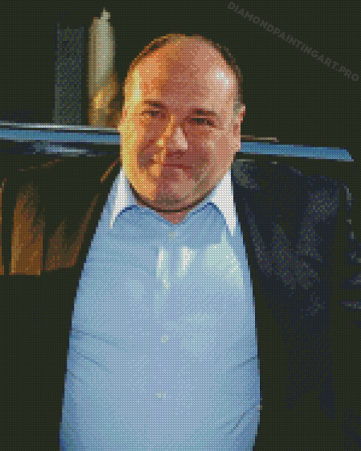 The Actor James Gandolfini Diamond Painting