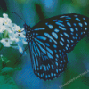 The Blue Tiger Butterfly Diamond Painting