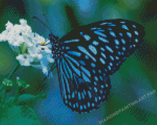 The Blue Tiger Butterfly Diamond Painting