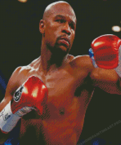 The Boxer Floyd Mayweather Diamond Painting