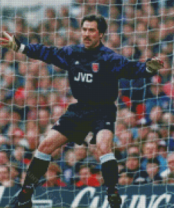 The Goalkeeper David Seaman Diamond Painting