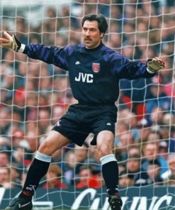 The Goalkeeper David Seaman Diamond Painting