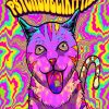 The Psychedelic Cat Diamond Painting