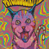 The Psychedelic Cat Diamond Painting