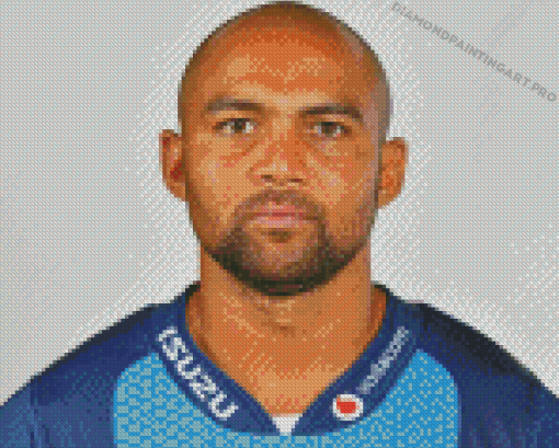 The Rugby Player Cornal Hendricks Diamond Painting