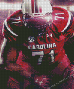 The South Carolina Gamecocks Football Player Diamond Painting