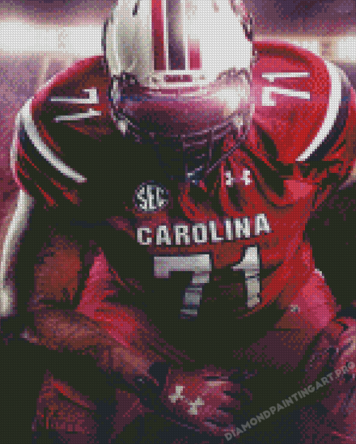 The South Carolina Gamecocks Football Player Diamond Painting