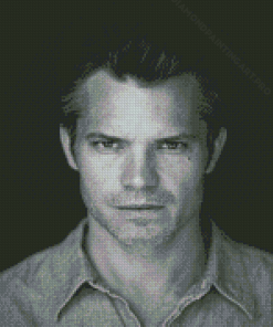 Timothy Olyphant Black And White Diamond Painting