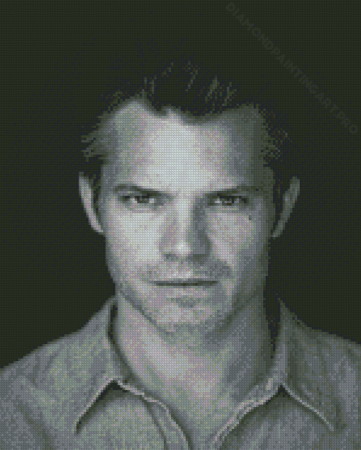 Timothy Olyphant Black And White Diamond Painting