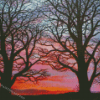 Trees At Sunset Diamond Painting