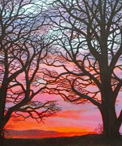 Trees At Sunset Diamond Painting