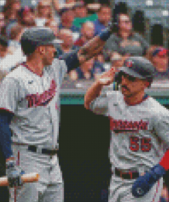 Twins Baseball Diamond Painting