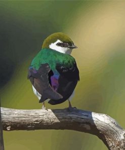 Violet Green Swallow Bird Diamond Painting