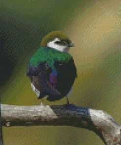 Violet Green Swallow Bird Diamond Painting