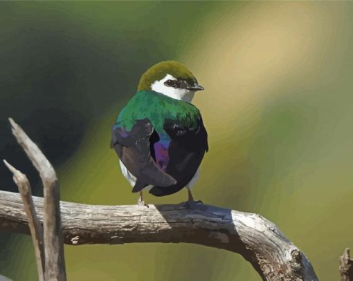 Violet Green Swallow Bird Diamond Painting