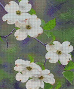 White Dogwoods Diamond Painting