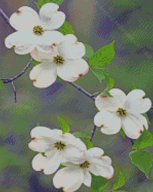 White Dogwoods Diamond Painting