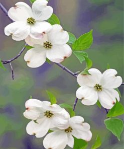 White Dogwoods Diamond Painting