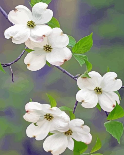 White Dogwoods Diamond Painting