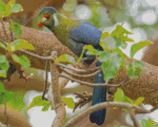 White Cheeked Turaco Diamond Painting