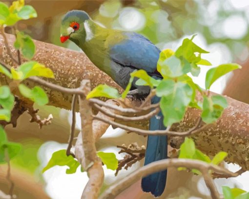 White Cheeked Turaco Diamond Painting