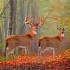 Whitetail Buck And Doe In Forest Diamond Painting