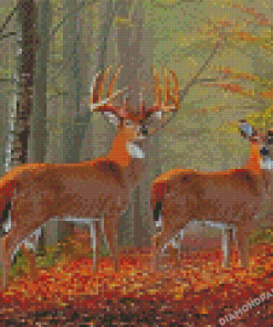 Whitetail Buck And Doe In Forest Diamond Painting