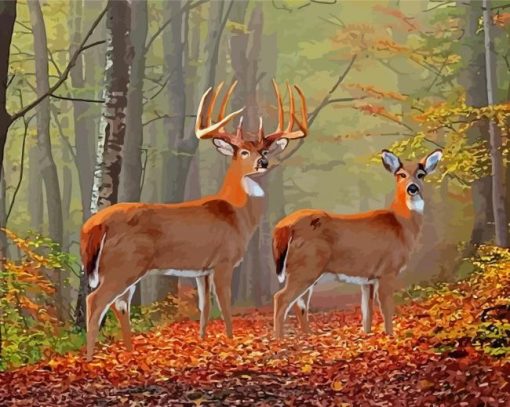 Whitetail Buck And Doe In Forest Diamond Painting